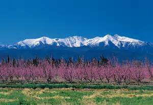 Le canigou:la montagne du pays catalan